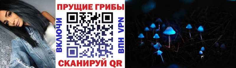 Псилоцибиновые грибы MAGIC MUSHROOMS  Мураши 